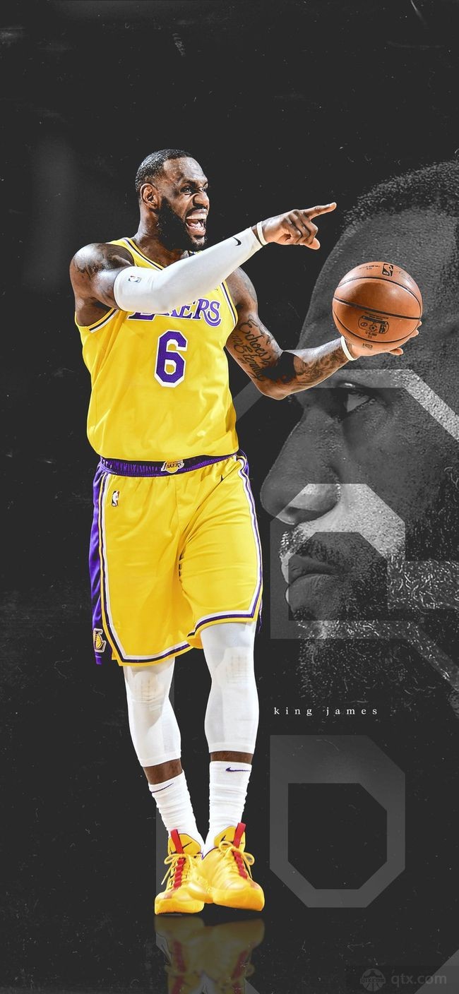 日本职棒球迷文化深度解析